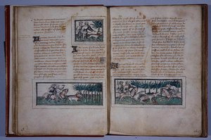 57. és 58. oldal, Le Livre du Roy Modus et de la Royne Racio, Henri de Ferrieres, 1420 körül (toll és tinta és WC papíron) alkotó: French School