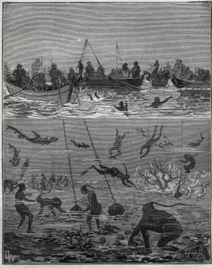 Gyöngybarack Ceylonban (a mai Sri Lanka) a XIX. Metszet 1885-ből Adolphe BITARD „Les arts et metiers illustres” című könyvében. alkotó: French School