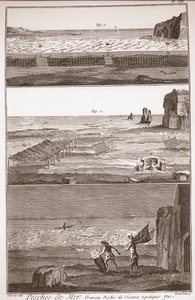 Peche de Mer – Trameau – Vízimadár-halászat – Denis Diderot (1713-1784) és Jean d „” The Great Encyclopedia, avagy Dictionnaire Raisonne des Sciences, des Arts et des Metiers” "Alembert (171 alkotó: French School