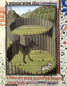 Piege a wolf – Gaston Phoebus, Foix grófja, Béarn lordjának vadászkönyvében” alkotó: French School