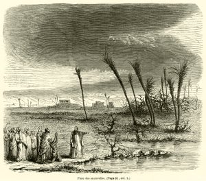 Szöcskék pestis (metszet) alkotó: French School