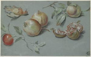 Gránátalma és döglött madár, 19. század eleje (kréta papíron) alkotó: French School