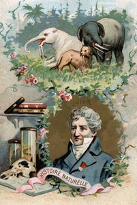 Georges Cuvier báró francia zoológus és paleontológus (1769-1832), az összehasonlító anatómia megalapítójának portréja. századi kromolitográfiája. alkotó: French School