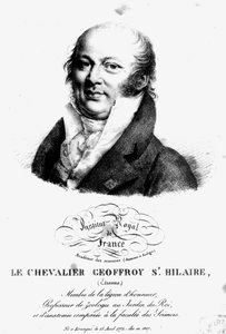 Etienne Geoffroy Saint-Hilaire (1722-1844) portréja alkotó: French School
