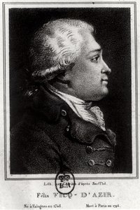 Felix Vicq dAzyr (1748-94) portréja alkotó: French School