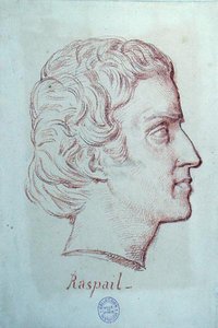 Francois Vincent Raspail (1794-1878) portréja (vörös kréta, papír) alkotó: French School