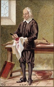 William Harvey (1578-1657) angol orvos portréja. alkotó: French School