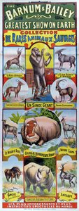 A Collection de Rares Animaux Sauvages plakátja a Barnum és Bailey cirkusz számára
