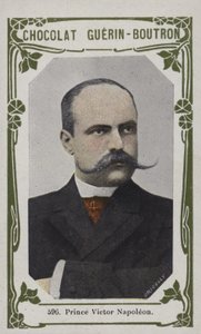 Viktor Napóleon herceg (színes fotó) alkotó: French School