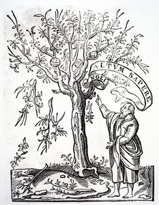 Robert Estienne nyomdász emblémája, Párizs, 1526 alkotó: French School