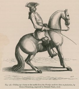Ló felhúzása snaffle-n (a Manege moderne dans sa perfection-ból, dEisenberg báró, metszet: Bernard Picart, 1727) alkotó: French School