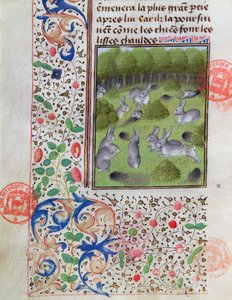 Rabbit warren, Gaston Phebus de Foix (1331-91) A vadászat könyvéből alkotó: French School
