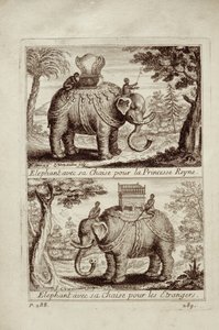 Királyi elefántok, Guy Tachard Voyage du Siam des Peres Jesuites-ból, 1688 alkotó: French School