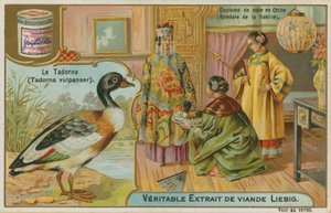 Shelduck; Kínában nászajándékként kínálják, ahol a hűség szimbólumának tekintik alkotó: French School