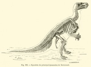 Bernissart főiguanodonjának csontváza (metszet) alkotó: French School