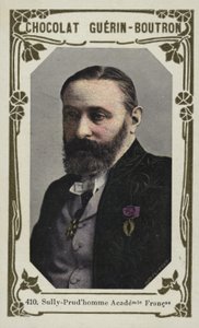 Sully-Prudhomme, Francia Akadémia (színes fotó) alkotó: French School
