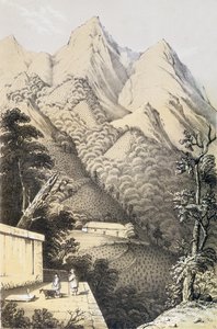 Teaültetvények Kína zöld tea negyedében, az Utazás a kínai teaországokba című könyvből, amelyet először 1852-ben publikált, Robert Fortune (1812-1880) alkotó: French School