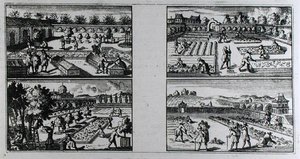 Kertgondozás, Jean de La Quintinye: „The Compleat Gard