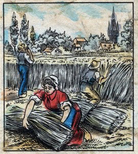 Textil, len: mezőgazdaság. Összegyűjti az ágyneműt, amely egy csomagtartóba van összeszerelve, hogy száraz legyen. Metszés. Epinális képalkotás a 19. század végén. alkotó: French School