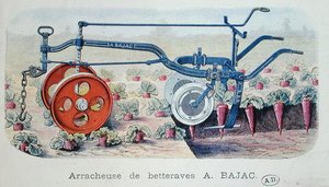 Bajac gép cékla emelésére, 1900 körül (színes gravírozás) alkotó: French School