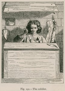 A Cobbler alkotó: French School