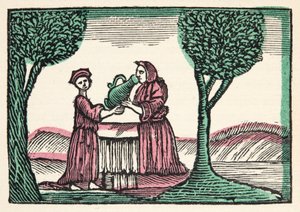 A tündér a történetekből vagy az elmúlt idők meséiből, amelyet Mother Goose, Erkölcsökkel, M Perrault, pub. 1925 (kézzel színezett fatömbnyomat) alkotó: French School