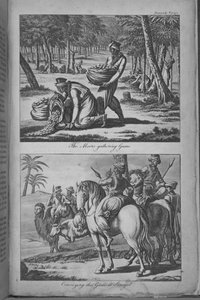 A mórok rágógumit gyűjtenek és a gumit Szenegálba szállítják, illusztráció az „Utazás Szenegálba...” c. alkotó: French School