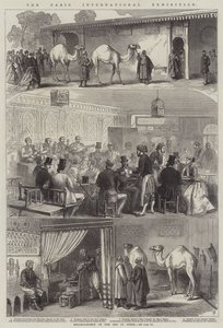 Párizsi Nemzetközi Kiállítás alkotó: French School