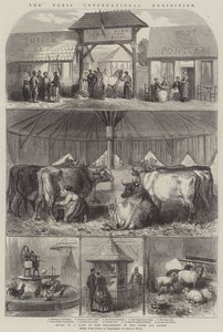Párizsi Nemzetközi Kiállítás alkotó: French School