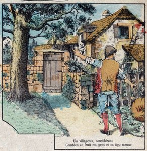 A makk és a sütőtök. Jean de La Fontaine (1621-95) meséi. Epinal képalkotása a 19. század végéről. alkotó: French School