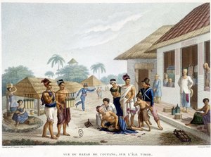 Coupang bazárja, Timor szigete. alkotó: French School