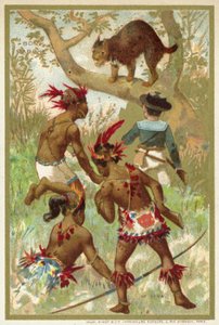 A hiúz (chromolitho) alkotó: French School