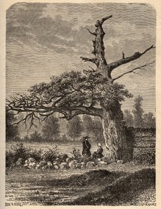 IV. Henrik tölgye Sainte Foix-ban, Rennes közelében - „” PATRIE” metszet – PECTUREQUIRESSE FRANCIAORSZÁG LEÍRÁSA 6 KÖTETÉSBEN LUCIEN HUARD TÁRSA – 19. század vége alkotó: French School