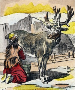 A rénszarvast fejik. Metszet „Buffon Alphabet des Animaux". 3. sorozat N 1. Epinal képalkotása, Epinal, 19. század vége. 16 oldal. Mérete: 28x21 cm alkotó: French School