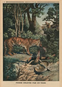 Tigris megtámad egy nőt, a hátsó borító illusztrációja a „Le Petit Journal”-ból, mellékelt illusztráció, 1914. március 15. alkotó: French School