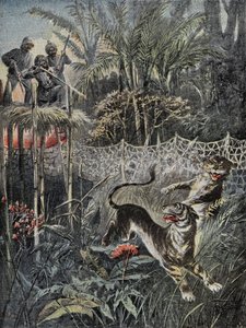Tigrisvadászat a dzsungelben Indiában: a sárvédők a háló mögött, a vadászok pedig biztonságban vannak a kilátón. Metszet a „” Le Pelerin”-ben, 1899.02.05. Selva Coll. alkotó: French School
