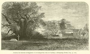 Mrs. Livingstone és Kirkpatrick sírja egy baobabfa alatt, a Shoupanga-házban (metszet) alkotó: French School