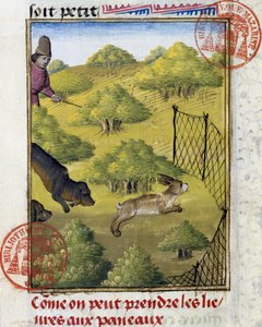 Csapda nyulaknak és vadászkutyáknak – Gaston Phoebus, Foix grófja, Medve ura „” Vadászkönyvében” alkotó: French School
