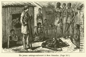 Egy fiatal, fehér arcú nshiego-mbouve (metszet) alkotó: French School