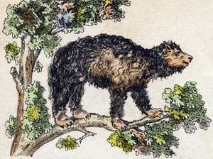 Unau (lusta). Metszet: „Alphabet des animaux sauvages””. 9. sorozat. Epinal, Pellerin, nyomdász-kiadó képei, 1870 körül. Metszetek fára, stencilezett. 16 oldal. Mérete: 20 x 15 cm. Magángyűjtemény alkotó: French School