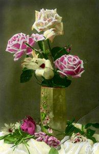 Roses of Roses 1898 körül (kézzel színezett fotó) alkotó: French School