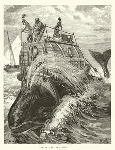 Voyage a Dos de Baleine (metszet) alkotó: French School