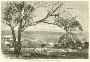 Kilátás a Yarra-völgyre (metszet) alkotó: French School