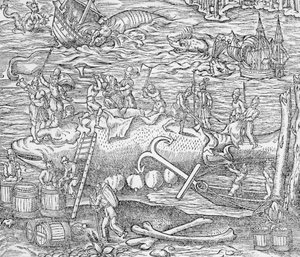 Bálnavadászat, illusztráció a "Cosmographie Universelle"-ből, szerző: Andre de Thevet alkotó: French School