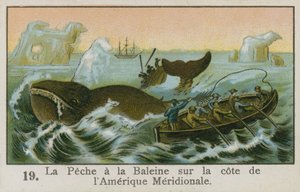 Bálnavadászat Dél-Amerika partjainál alkotó: French School