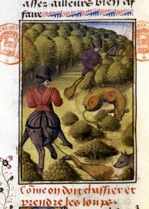Farkasvadászat - in "" Gaston Phoebus, Foix grófja, Béarn ura - vadászkönyve" alkotó: French School