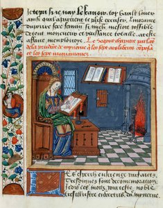 Nő, aki megvilágítja Catherine dAmboise Megfontoltak és meggondolatlanok könyvét, 1509 alkotó: French School