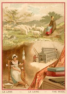 Gyapjú (chromolitho) alkotó: French School