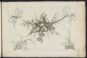 Festool van vruchten, bladeren en bloemen Különféle új virágok és gyümölcsök ünnepe (sorozat címe) alkotó: Friedrich Jacob Morisson