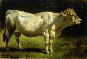 Tehén a tájban